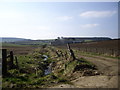 Track to Meadowbank farm