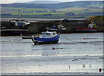 NU1241 : The Harbour, Holy Island, Northumberland by Christine Matthews