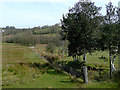 Public footpath to Ffaldybrenin, Carmarthenshire