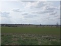 Strip Farming on Windy Ridge