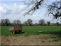 TQ0316 : Field off Greatham Lane by Simon Carey