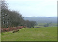 Carmarthenshire farmland near Ffaldybrenin