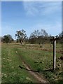 Footpath, Parham Park