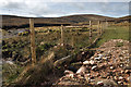 NO6079 : The new fence below Rough Bank by Nigel Corby