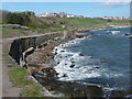 Fife Coastal Path at Crail