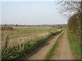 SU6754 : Public footpath and farm track by Mr Ignavy