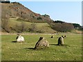 NN7446 : Fortingall stone circles by Gordon Hatton