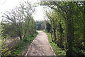 Saxon Shore Way, Riverside Country Park