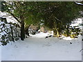 ST0999 : Near Tir Lan farm on a snowy day by Janice Lane