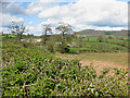 View to Whitehouse Farm