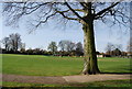 Recreation Ground, Wakeley Rd (2)