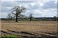 Farmland near Stareton