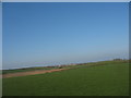 View northwards across pasture land and valley marsh south of Bodwina Pig Farm