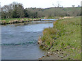 The Afon Teifi near Pont Llanio, Ceredigion