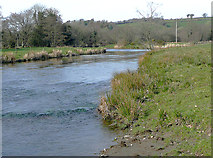 SN6456 : The Afon Teifi near Pont Llanio, Ceredigion by Roger  D Kidd