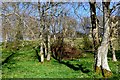 Lime Kiln in South Slip