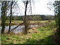 Pool and bridleway