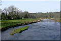 The Afon Teifi near Pont Llanio, Ceredigion