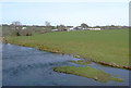 Pasture and the Afon Teifi near Pont Llanio, Ceredigion