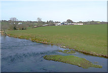SN6456 : Pasture and the Afon Teifi near Pont Llanio, Ceredigion by Roger  D Kidd