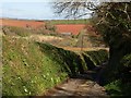 Lane from Bickleigh Farm