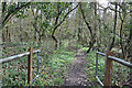 Footpath between Pontyberem and Tumble