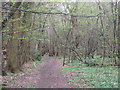 TQ6168 : Footpath in Hartley Woods by David Anstiss