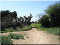 Footpath from Ford lane reaches Yapton Recreation Ground