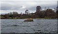 Unusual boulder in Nigg Bay