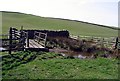 Footbridge crossing Hindon Beck