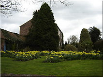 SE4674 : Farmhouse  garden  in  Spring . Little  Sessay by Martin Dawes