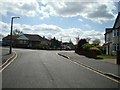 Carisbrooke Avenue, Albany Park