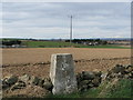 Trig Point near Tulloch