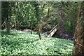 Footbridge below Threapwood windmill