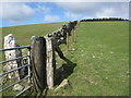 SJ1760 : Wall line and gateposts below Fron Hen by John S Turner