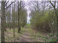 TM3761 : Start of the Bridleway to Deadman's Lane by Geographer
