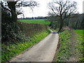 View along Church Lane, Stelling Minnis