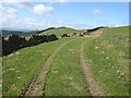 Trackway below Fron Hen and view to Moel Eithinen