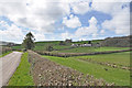 Road toward  Llandyfaelog from the north east