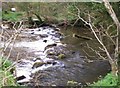 Weir across river Taf, Login Whitland