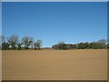 Ploughed land west of the A5025