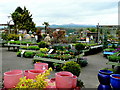 Raglan Garden Centre plant area 2