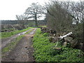 Alderholt, footpath