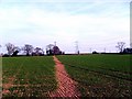 Trescott Footpath