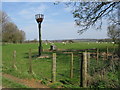 TR1144 : Beacon in a sheep field, Elmsted by Nick Smith