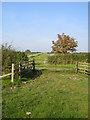 Bridleway near Lower South Farm 1