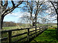 Roadside near Cawdor Castle.