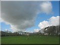 Llaethdy-mawr farmhouse, Cerrig-man