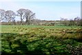 View Towards Empool Bottom