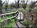 Footbridge on the River Ayr Way